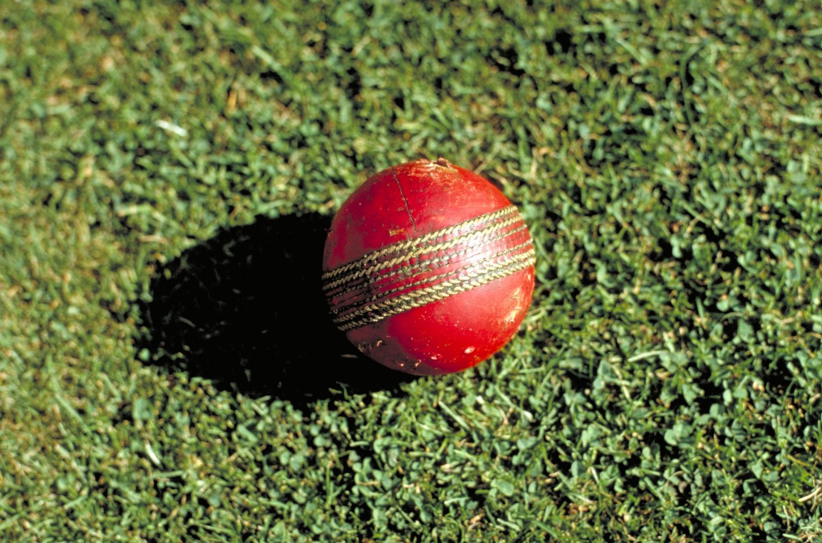 Cricket
