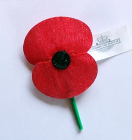 Poppy Photo: Moriori @Wikimedia Commons