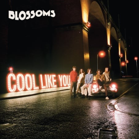 Blossoms CoolLikeYou sleeve s