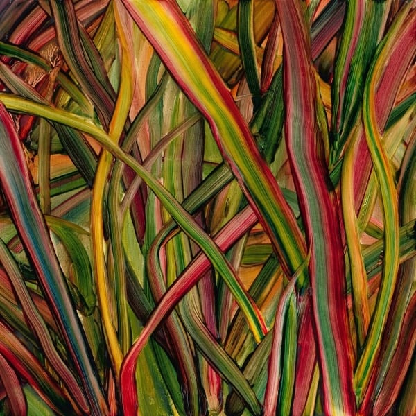 Gengahr_-_Where_Wildness_Grows_600_600
