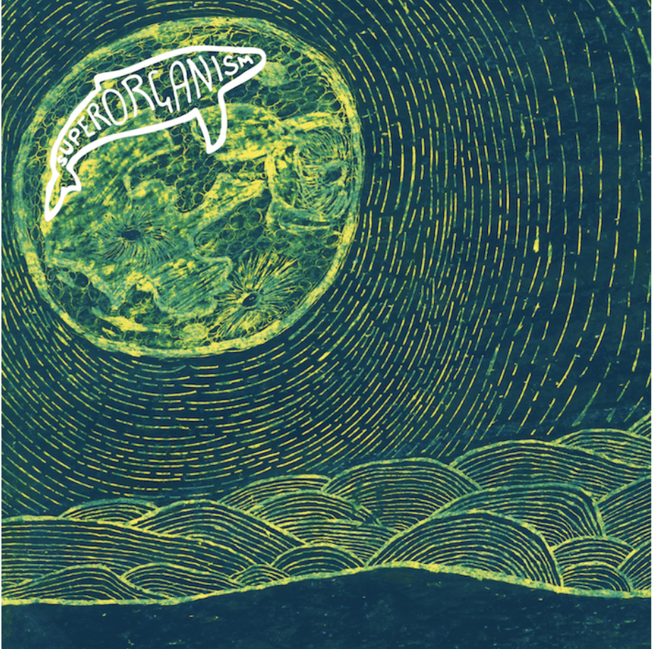 Photo: Album Artwork