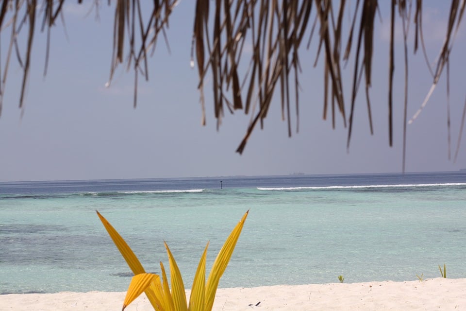 Relaxing in the Sun. Photo: Walti@Pixabay