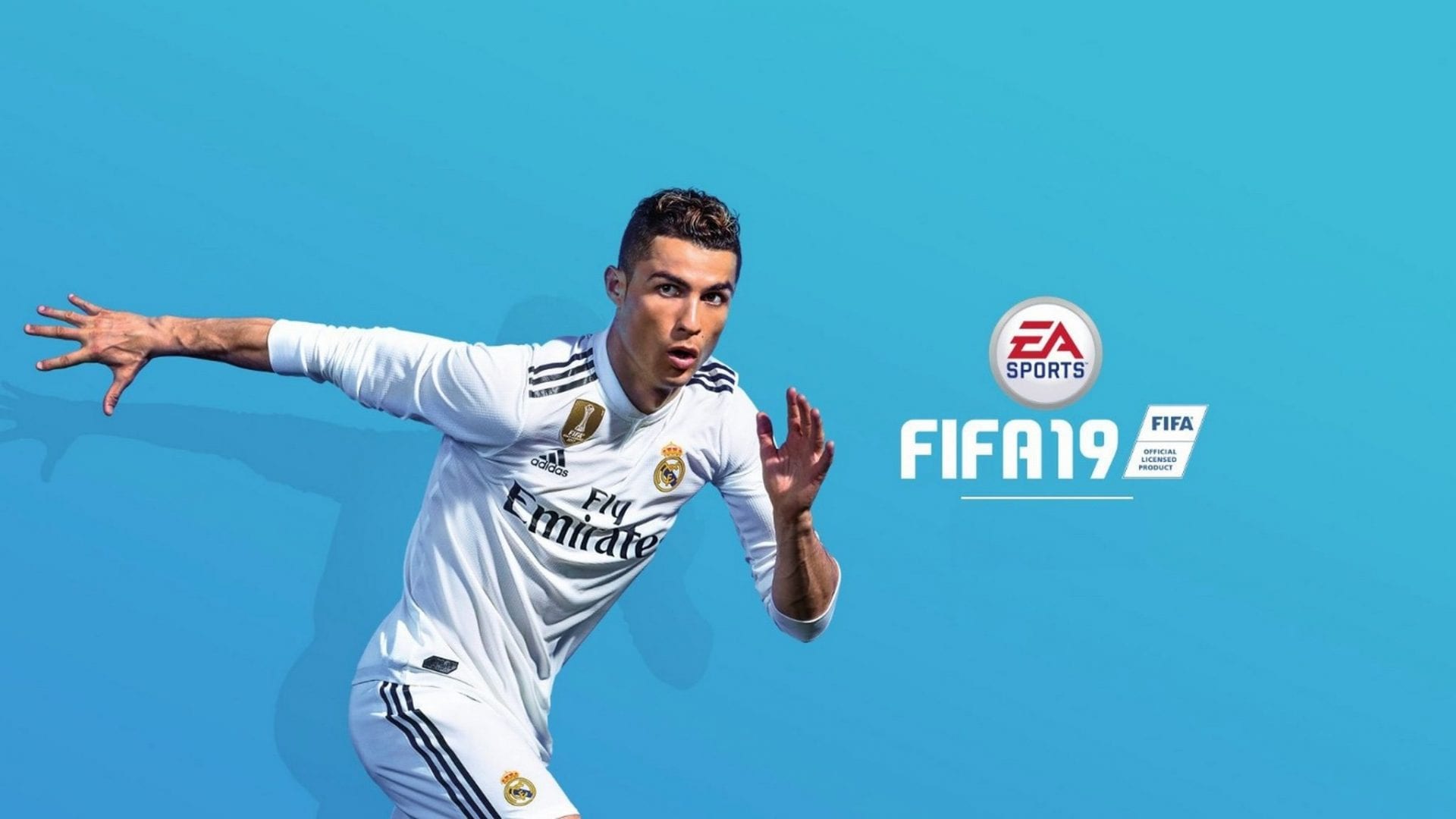 FIFA 19 Photo:SteamXO@Flickr
