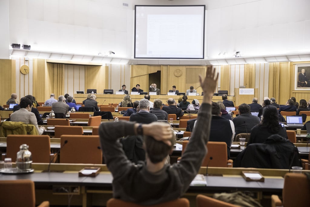 Photo: Flickr @ The Food and Agriculture Organization of the United Nations