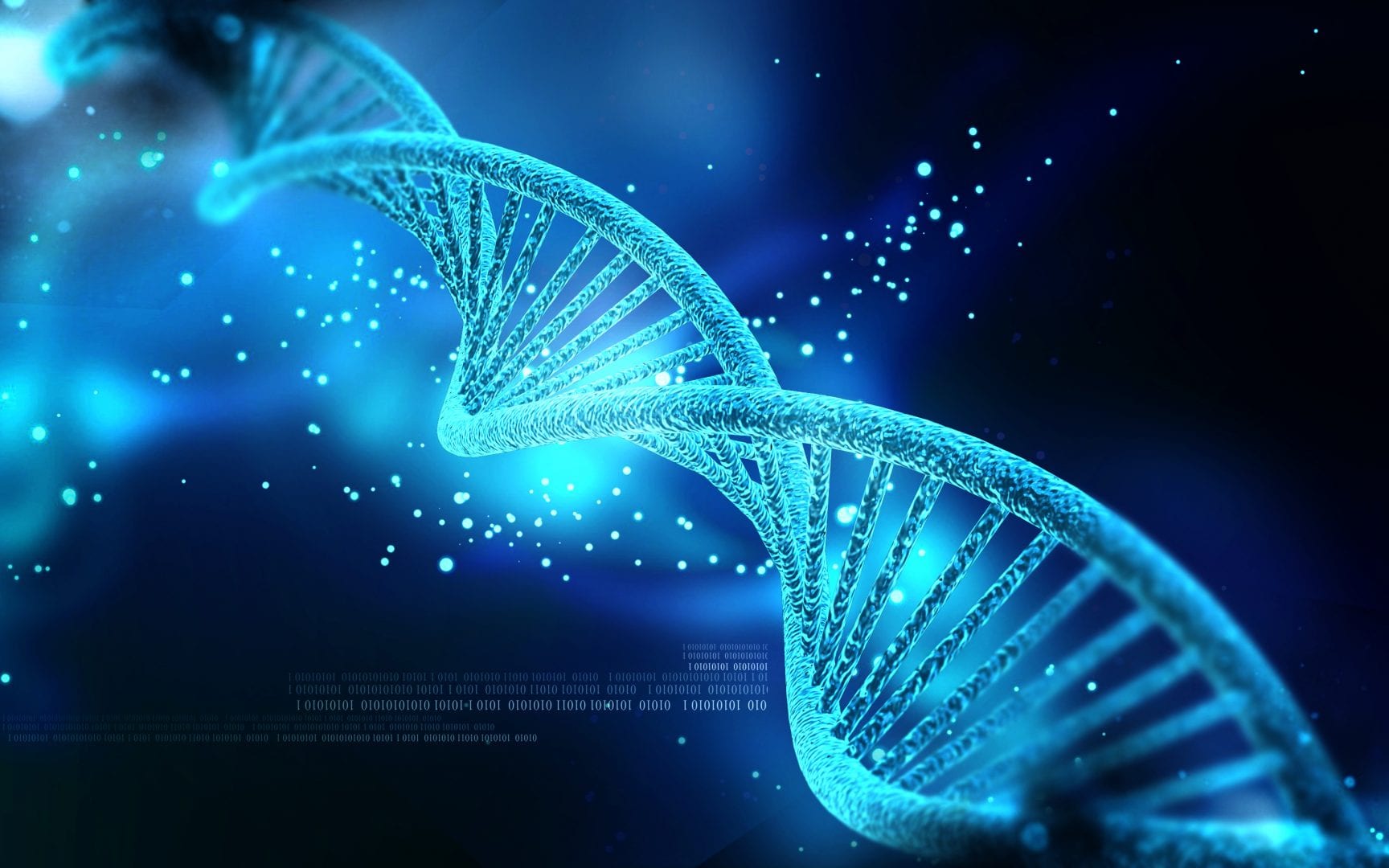 DNA Photo: Nogas1974 @ Wikimedia Commons