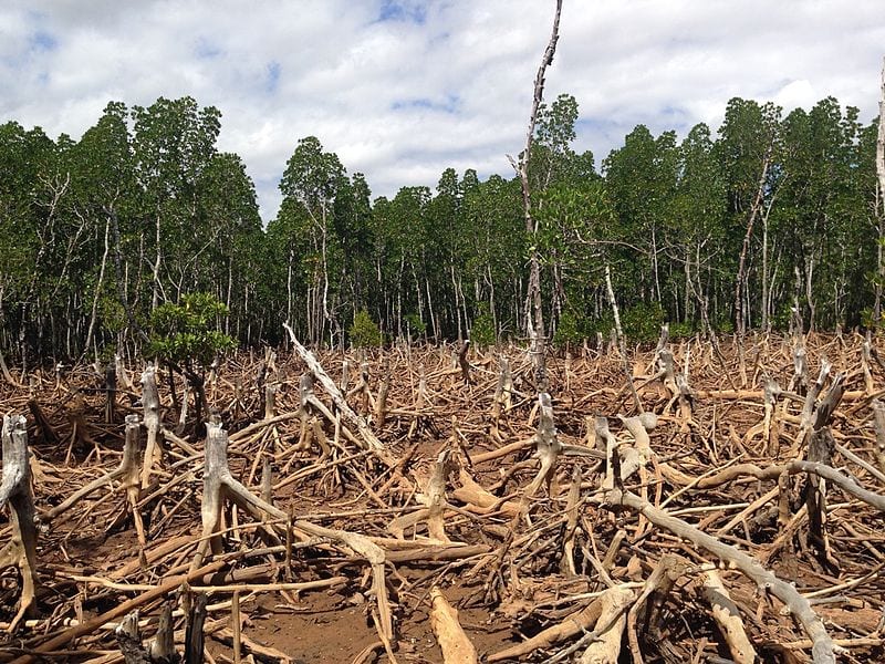 Photo: Madagascar Deforestation by Cunningchrisw @ WikimediaCommons
