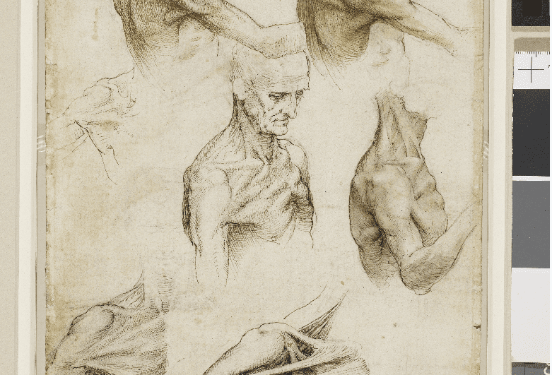 Photo: Royal Collection Trust / © Her Majesty Queen Elizabeth II 2019