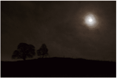 Photo: 'The night is darkening around me' @ Maya Sharp