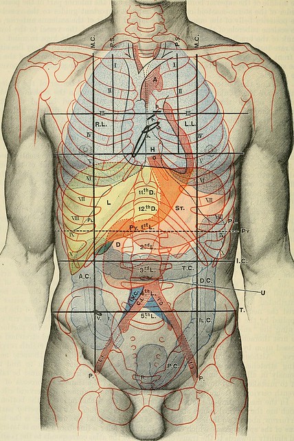 Photo: Internet Archive Book Images @ Flickr
