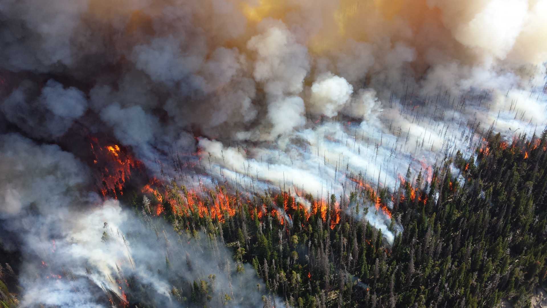 Photo: NPS Climate Change Response @ Flickr