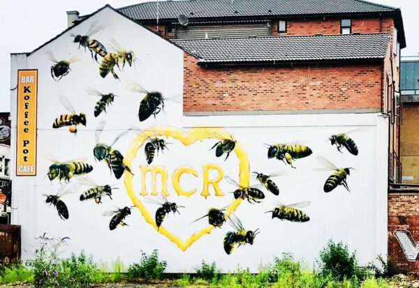 22 Bees Photo by @saturnmoons19