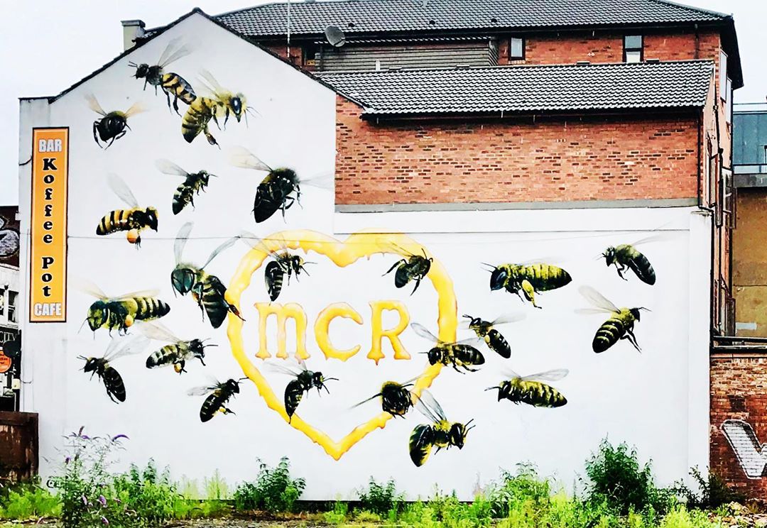 22 Bees Photo by @saturnmoons19
