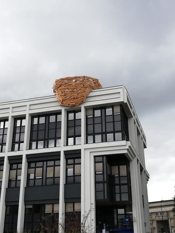 A nest art installation.