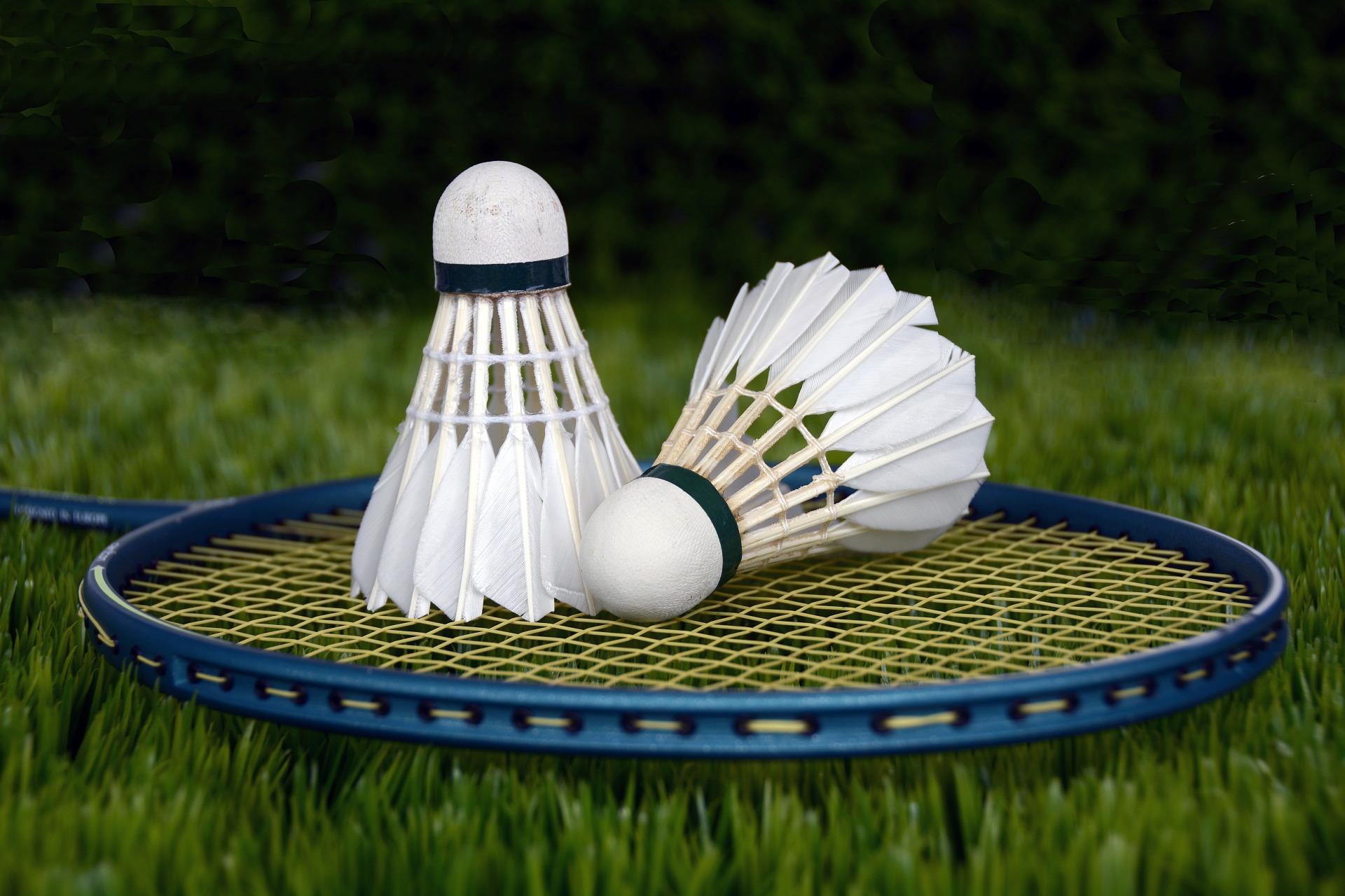 badminton-1428047_1920