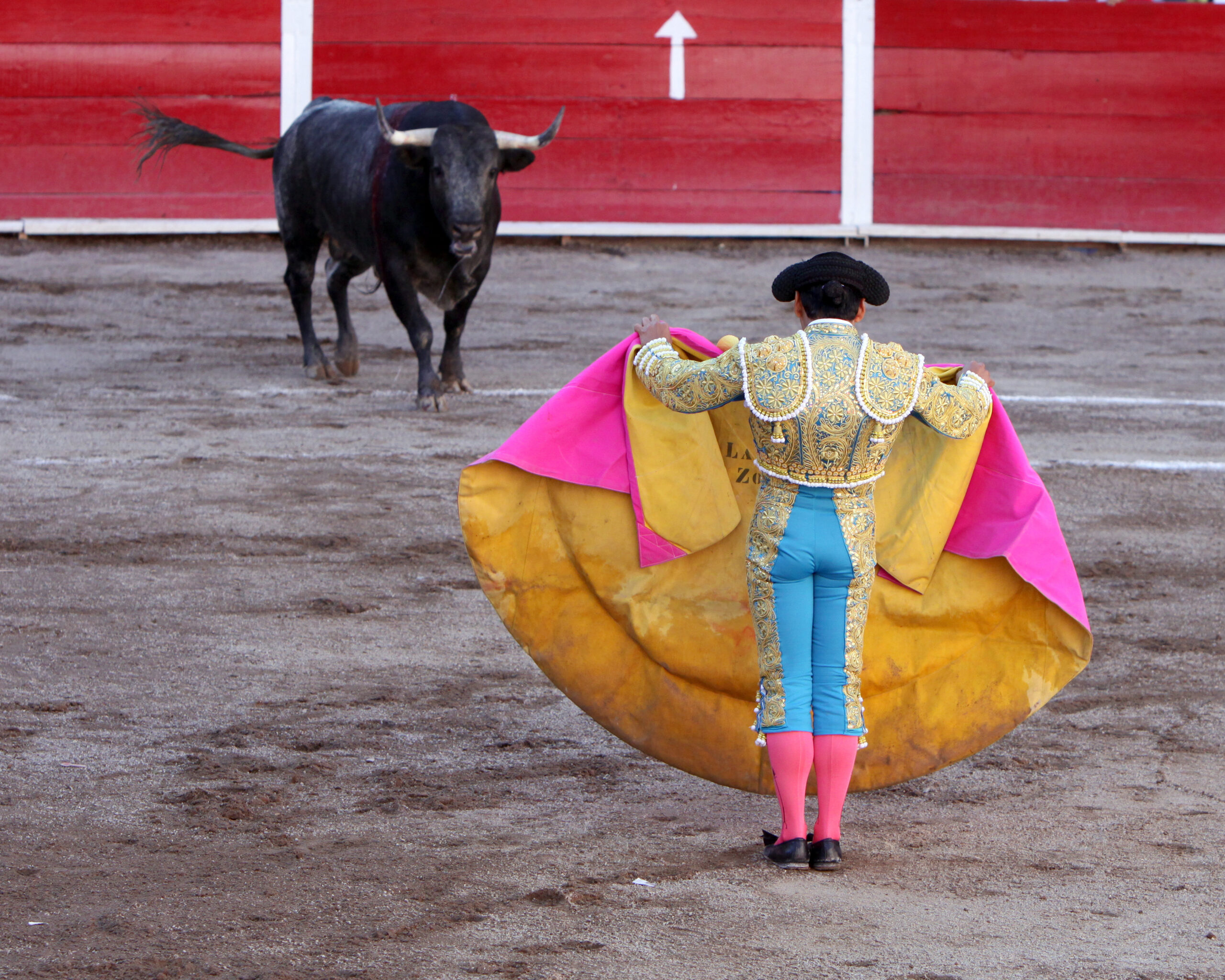 bullfighting