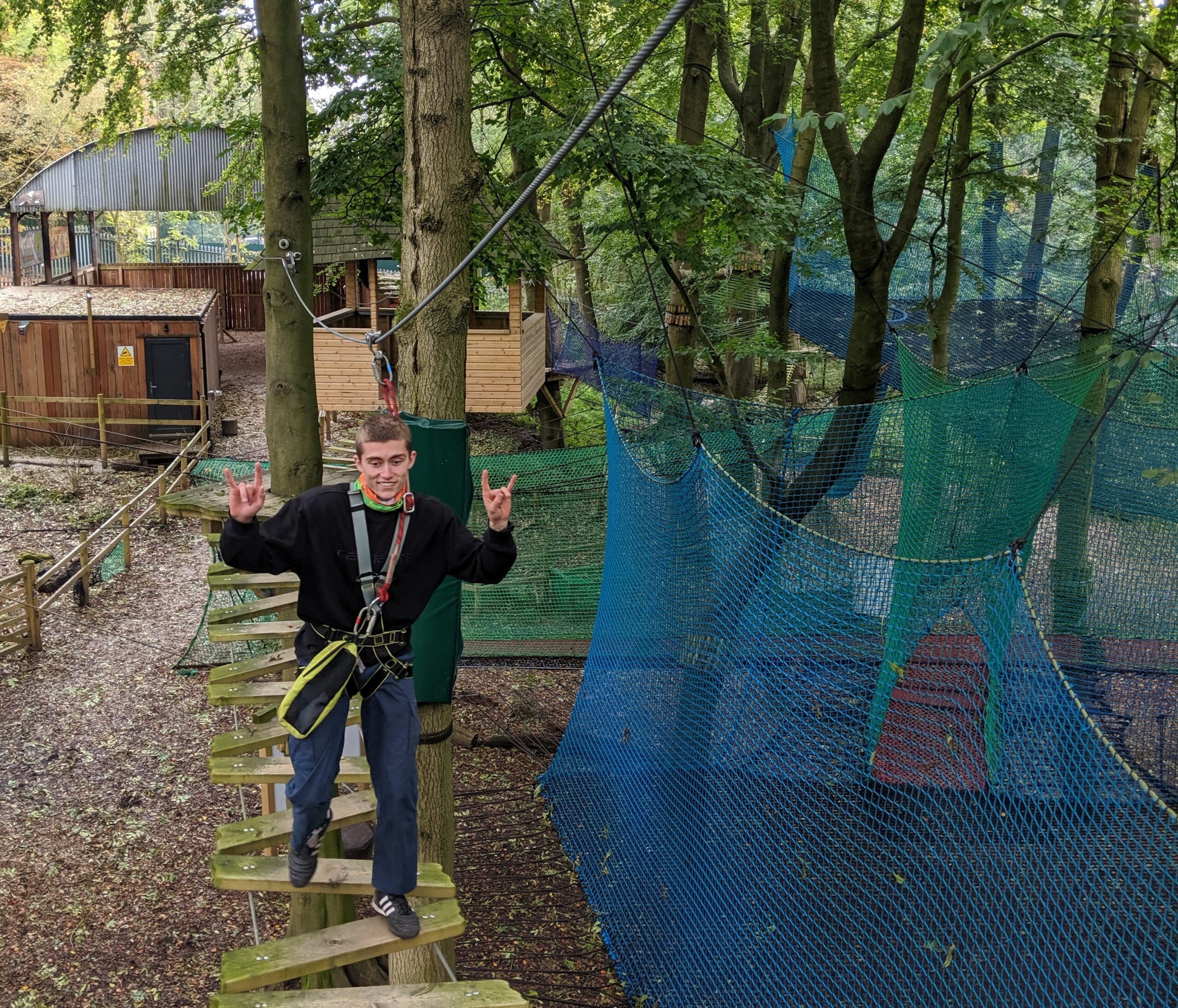 treetop trek