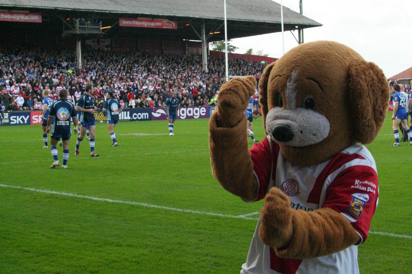 Mascot_St_Helens