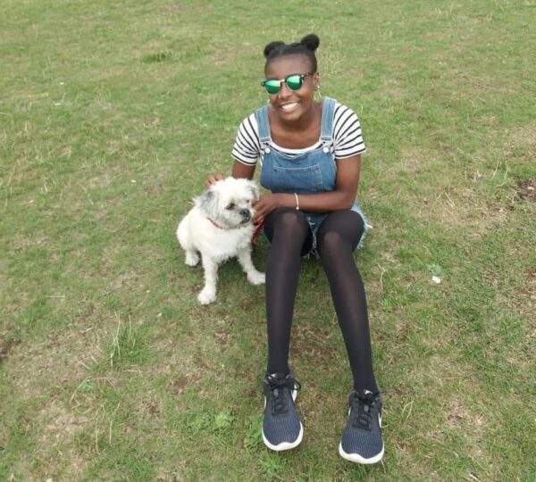 asha dog
