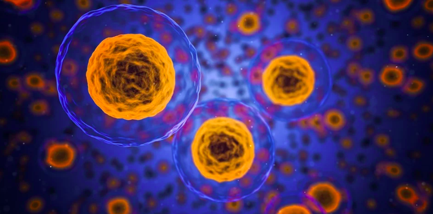 cells