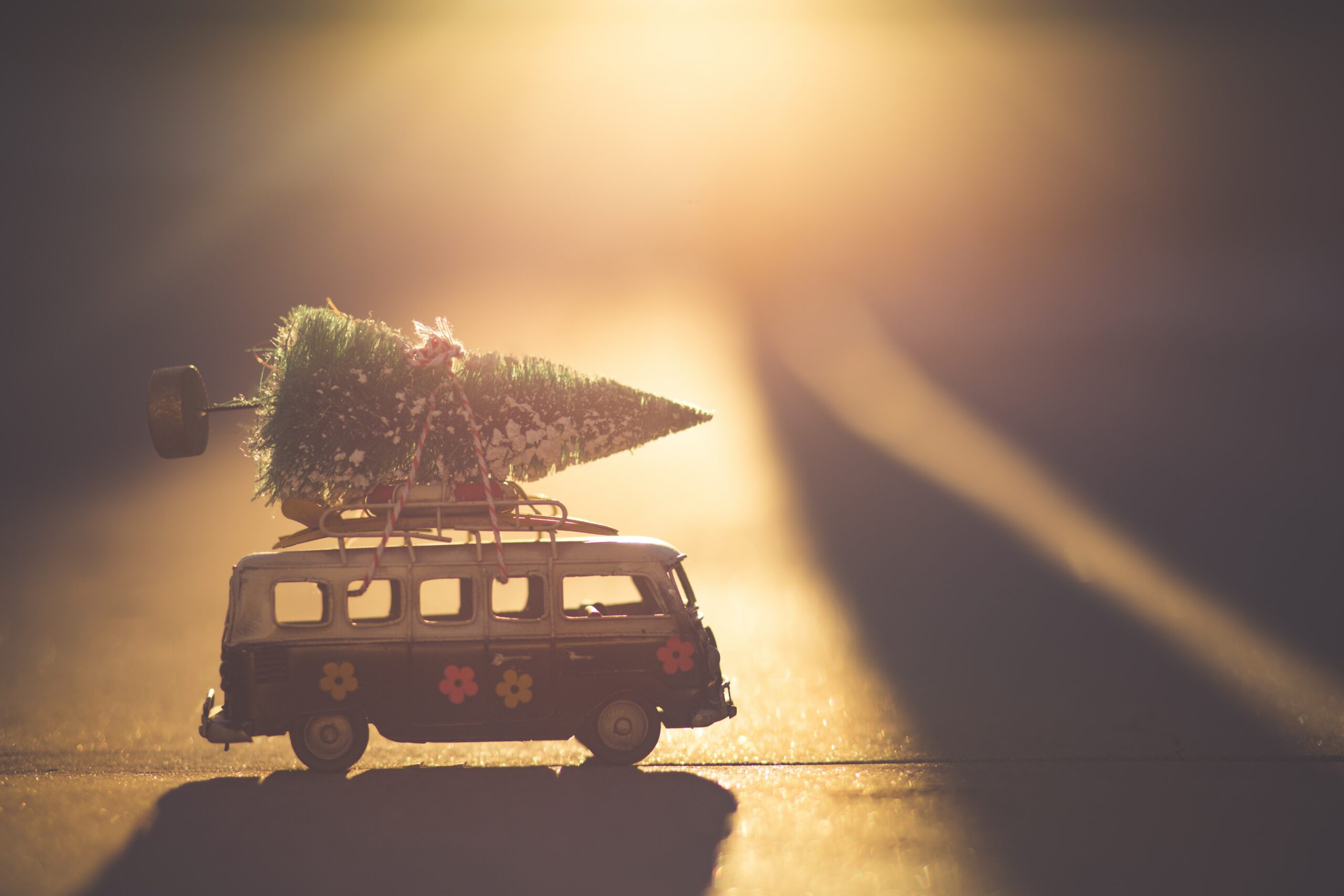 Photo: Denise Johnson @Unsplash