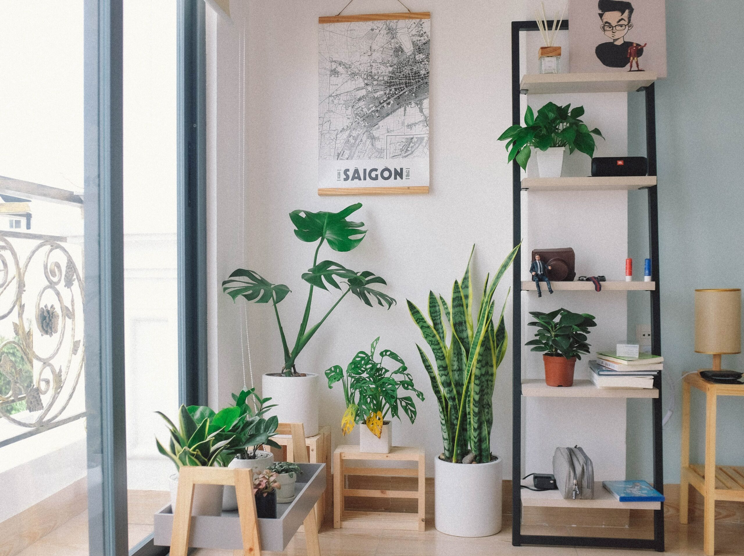 Plants Photo: Huy Phan @Unsplash