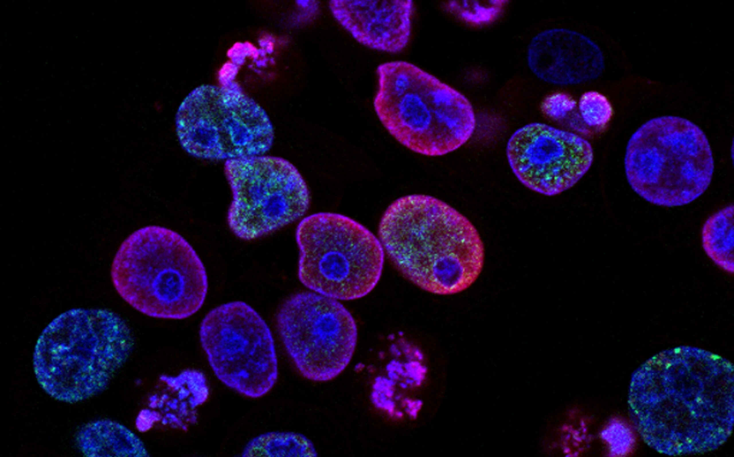 Photo: National Cancer Institute on Unsplash
