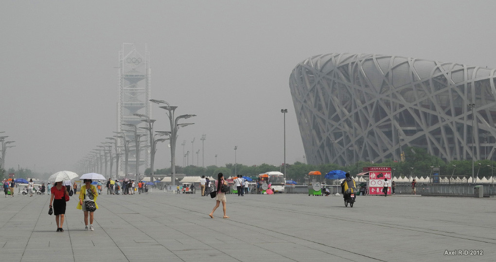 Bird's Nest Stadium