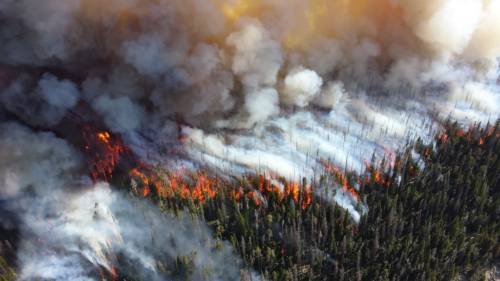 NPSClimateChangeResponse@flickr