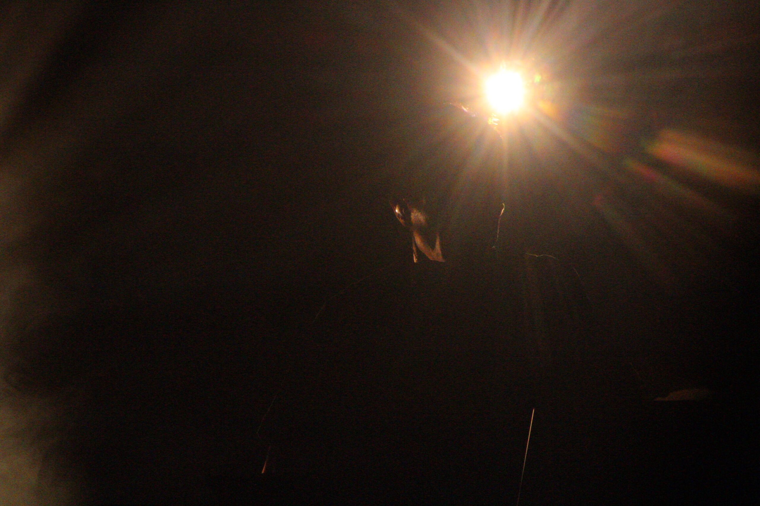 Jon Hopkins Bridgewater Hall