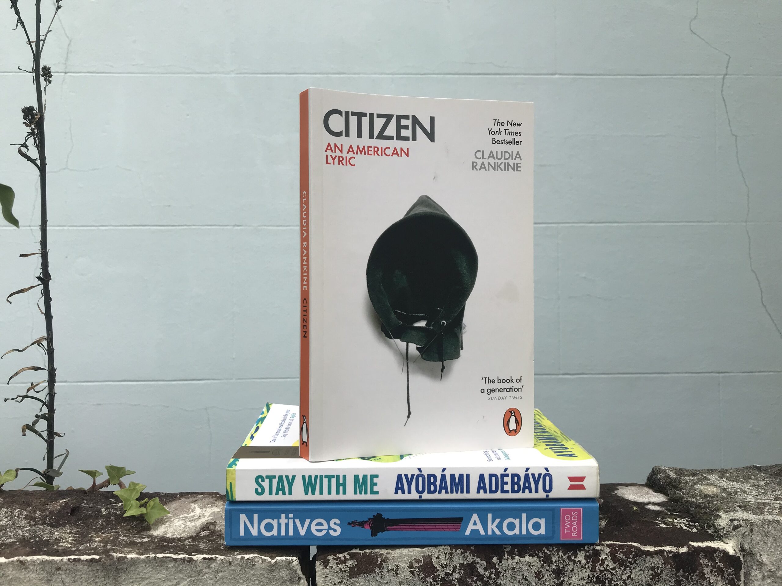 Black History Month Books