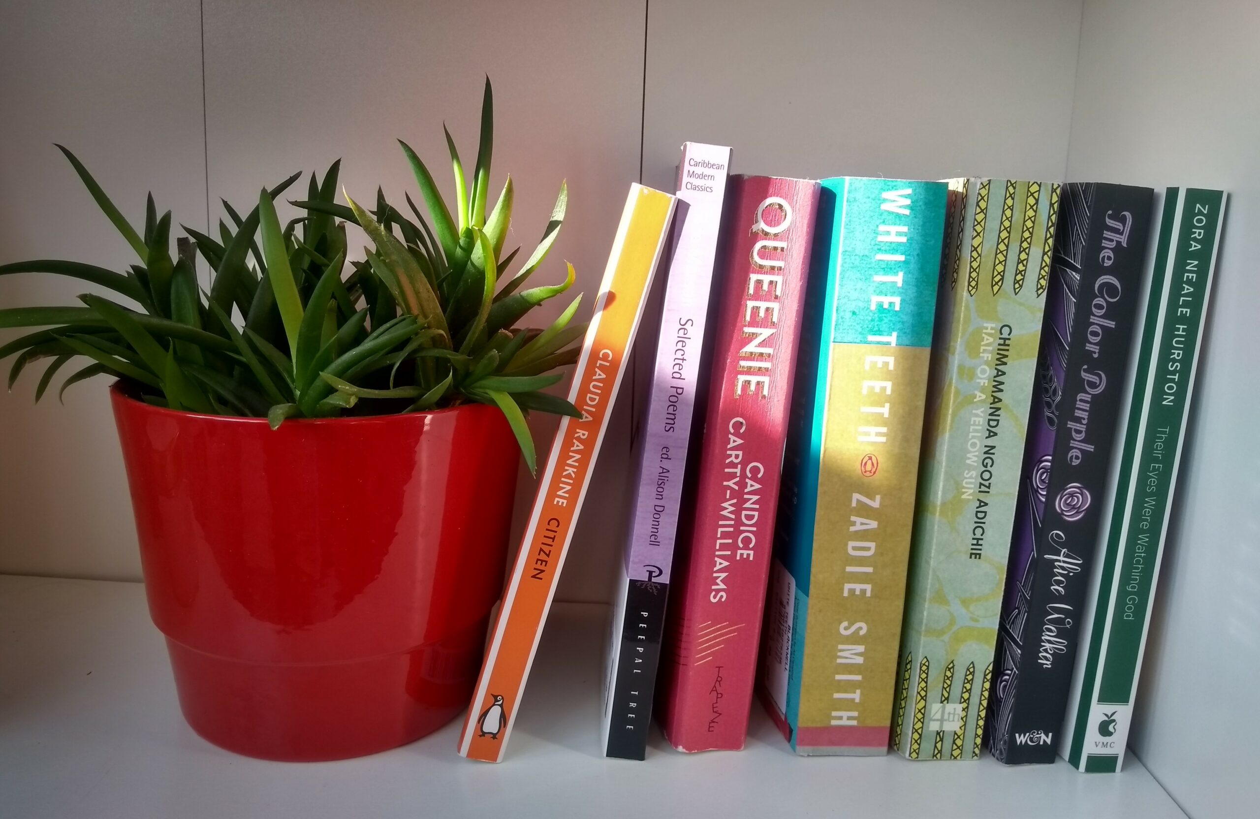Photo of books by BAME authors on a bookshelf