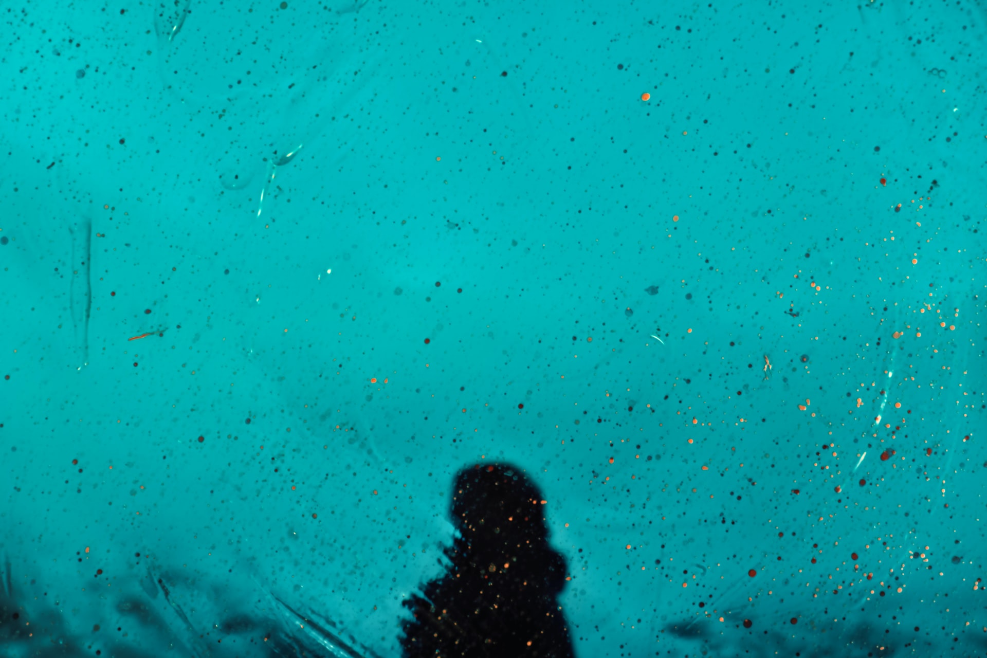 Photo by Jr Korpa @ Unsplash