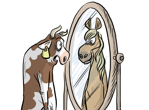 horsemeat scandal