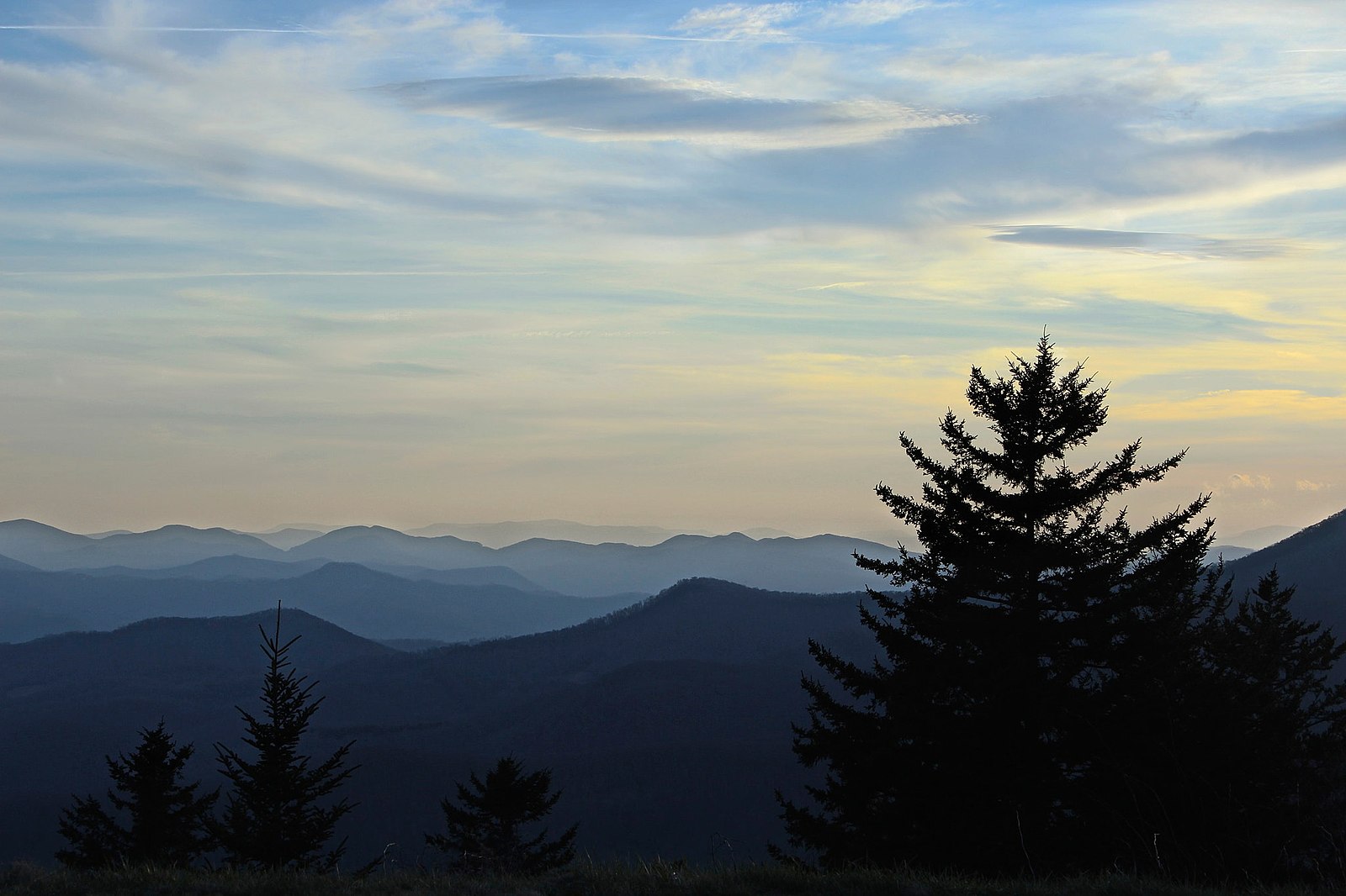 Photo: John Andersen @ Wikimedia