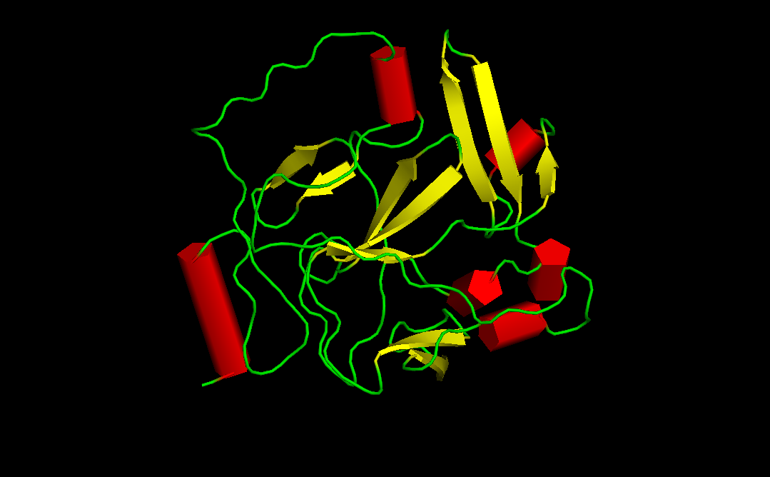 Tnguyen2791 @WikimediaCommons