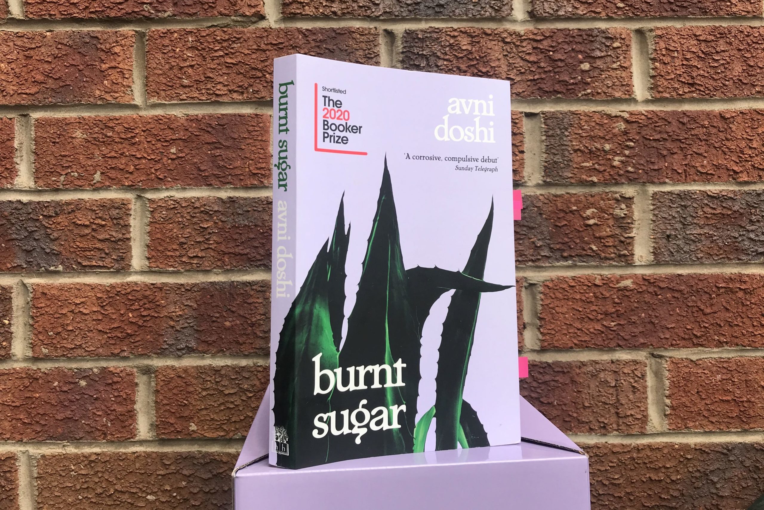 Burnt Sugar by Avni Doshi for the 2021 Women's Prize for Fiction