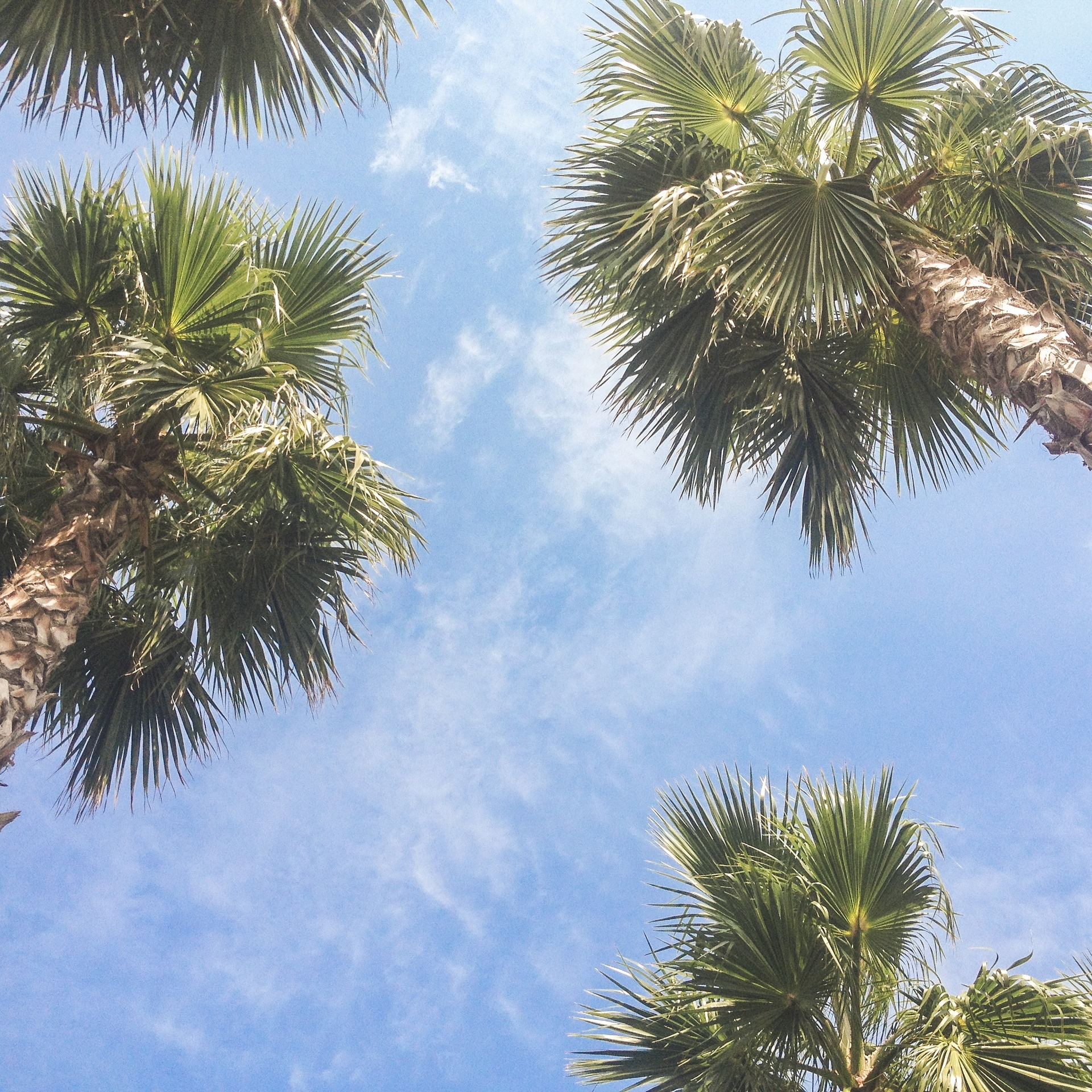 Palm Springs