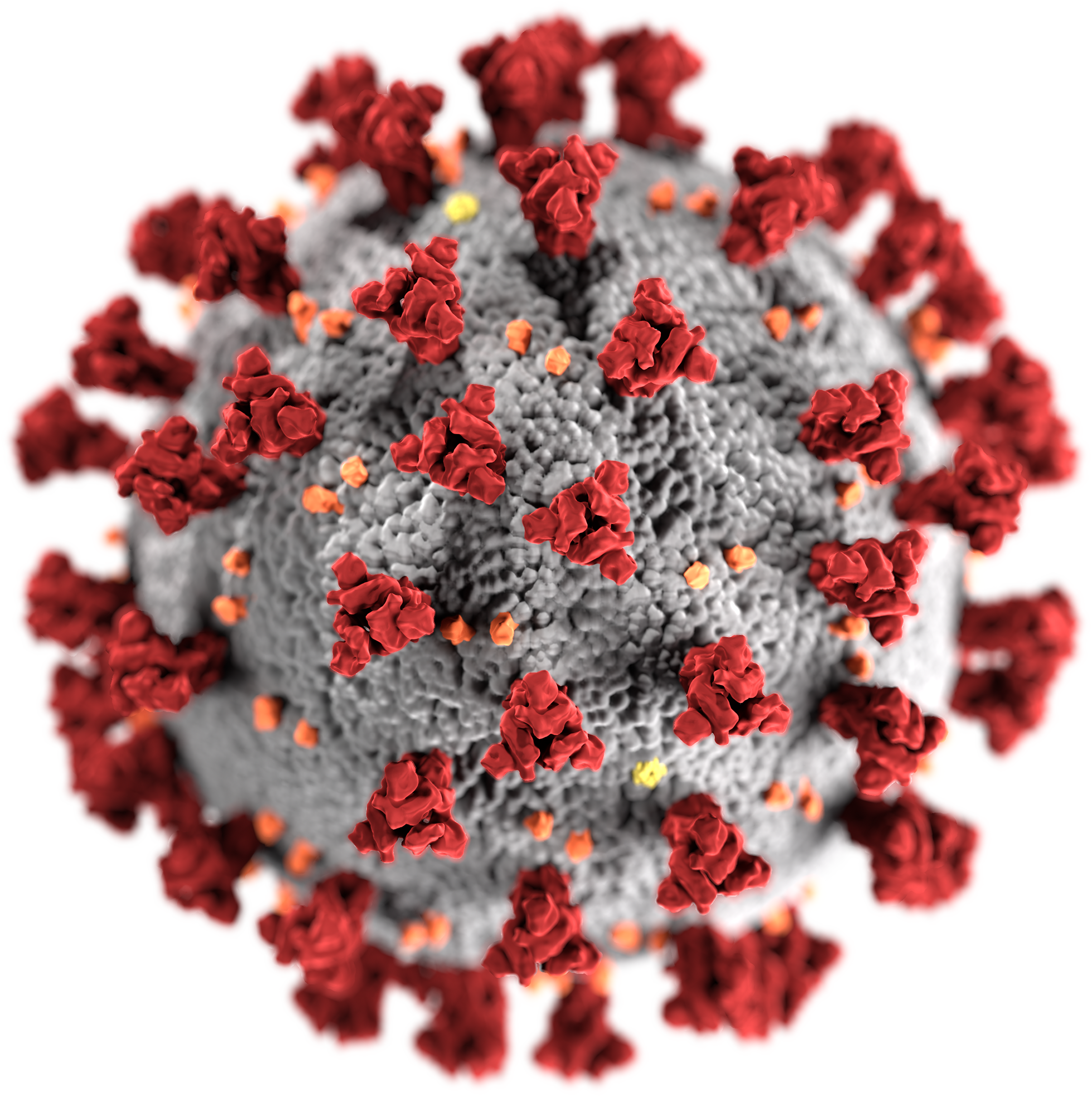 Centers for Disease Control and Prevention's Public Health Image Library