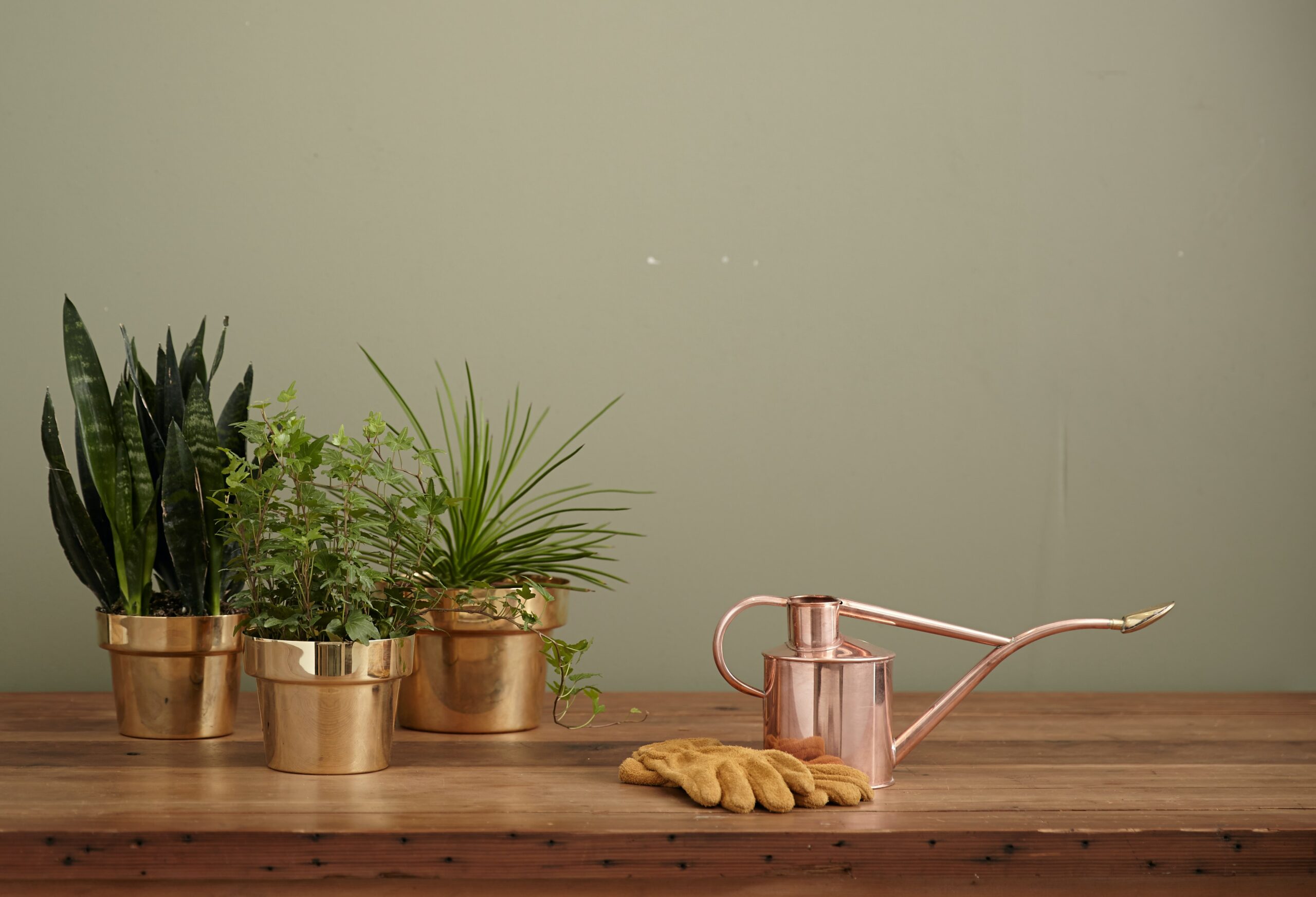 https://unsplash.com/@kaufmann_mercantile