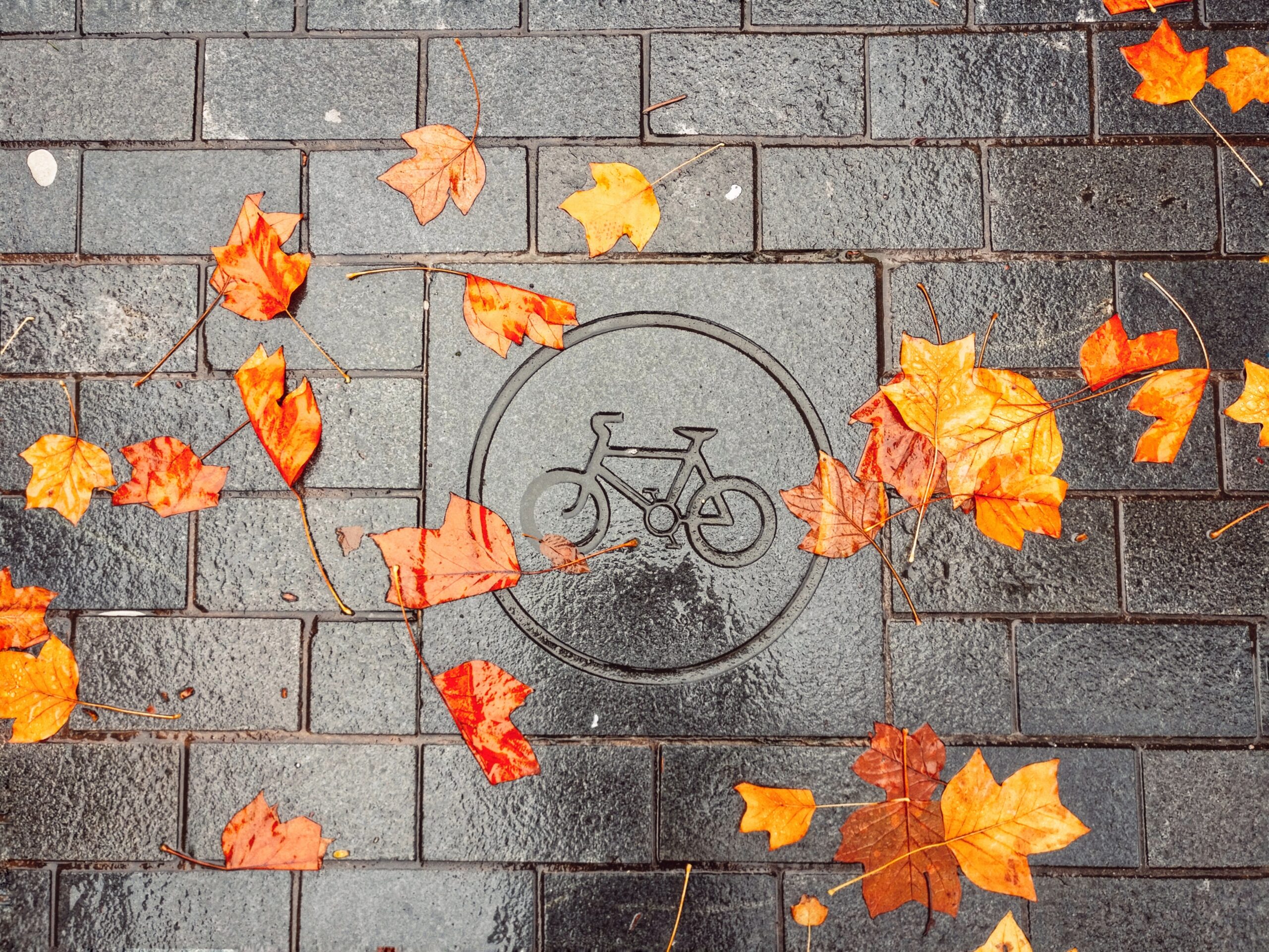 Bikes