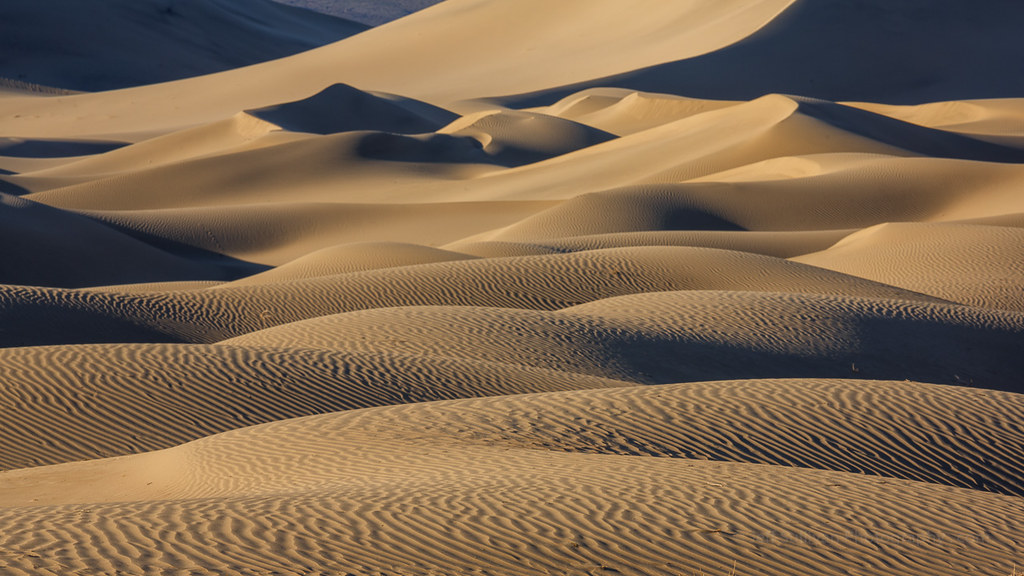 Dune