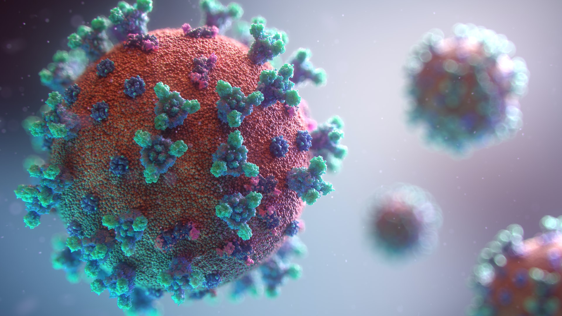 Fusion Medical Animation