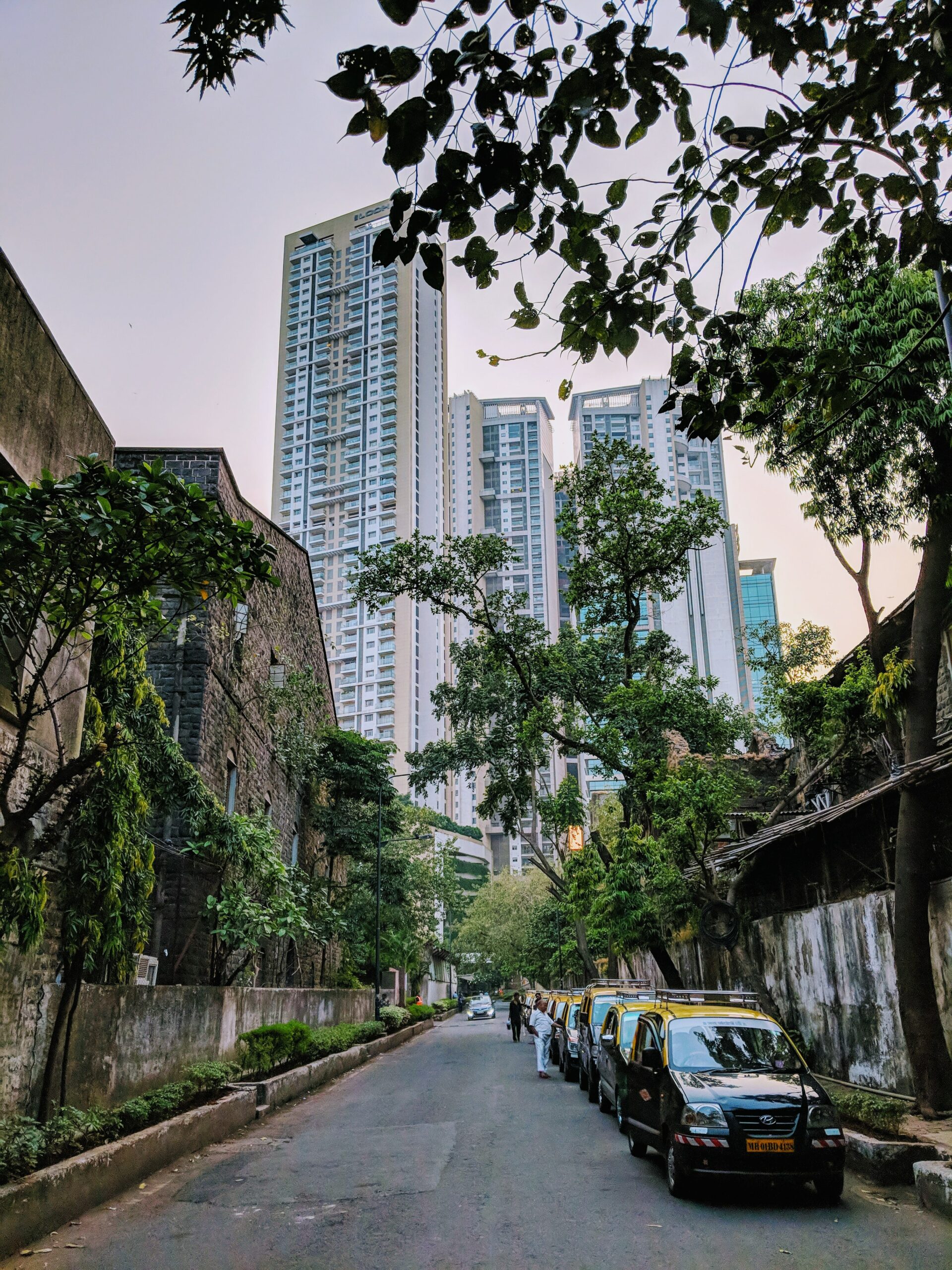 joel-steevan-s-smA9ScdAg-unsplash