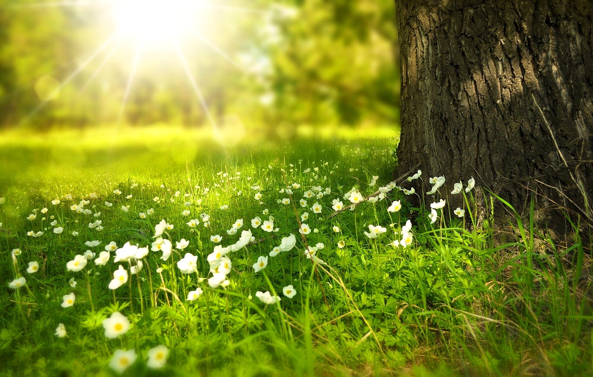 Spring trends 2022
