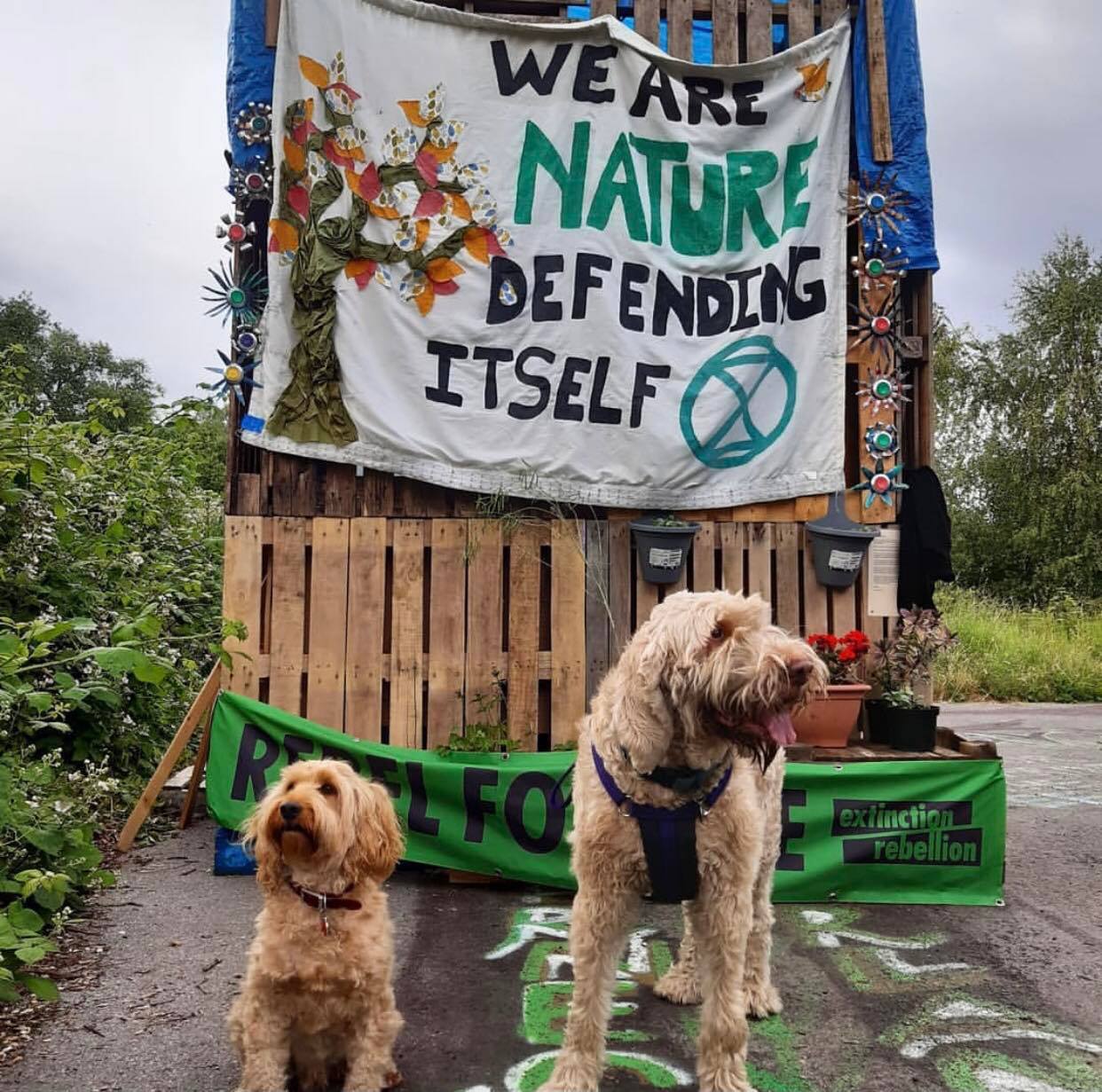 We are nature defending itself