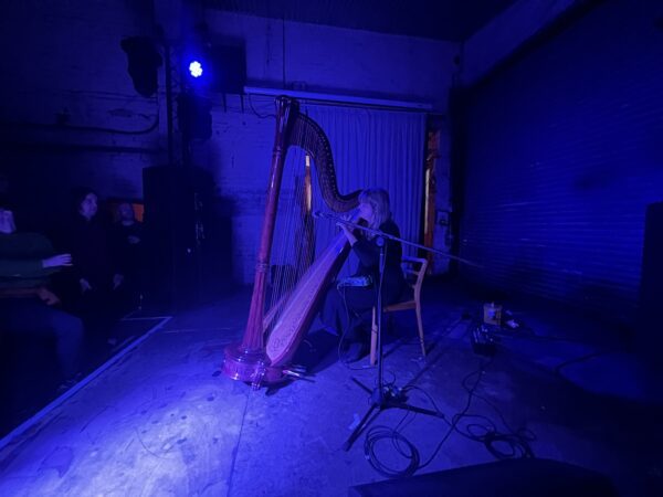 Mary Lattimore performing to a bewitched audience