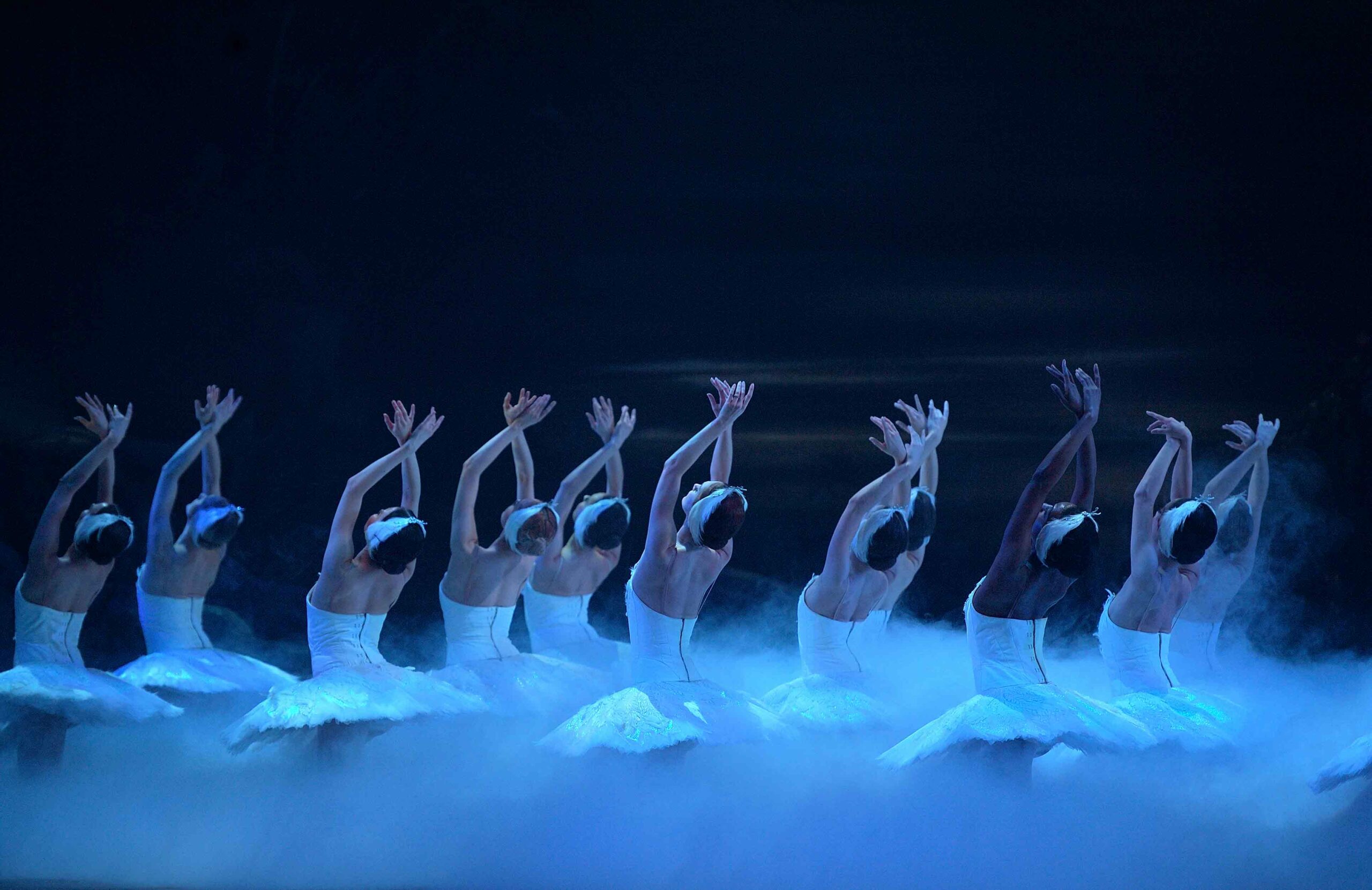 English National Ballet In Swan Lake © Laurent Liotardo 6 WEB