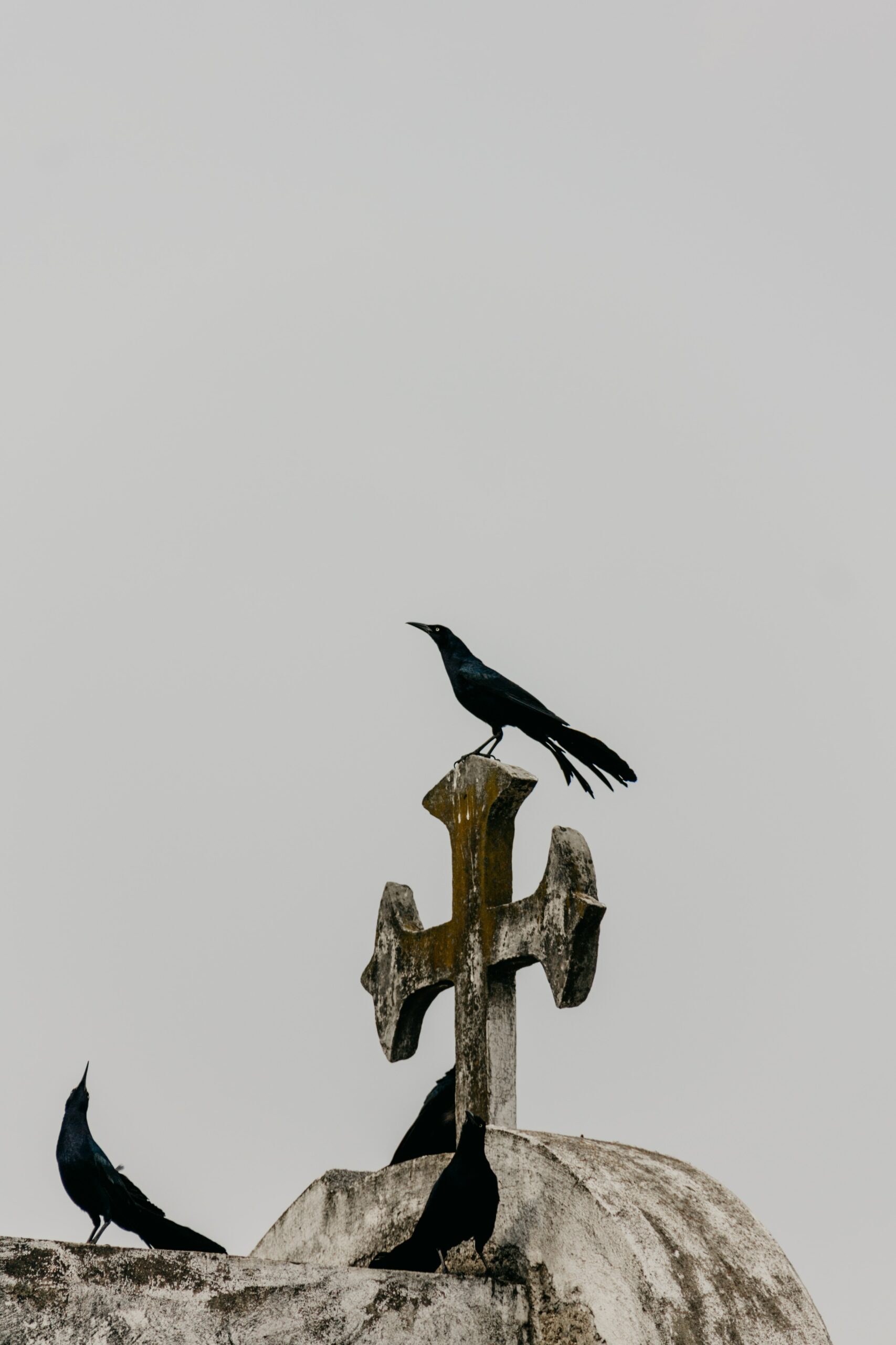 Jacob Mejicanos 8XBnhU3vfYw Unsplash
