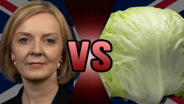 Liz Truss VS Daily Star Lettuce 600x338