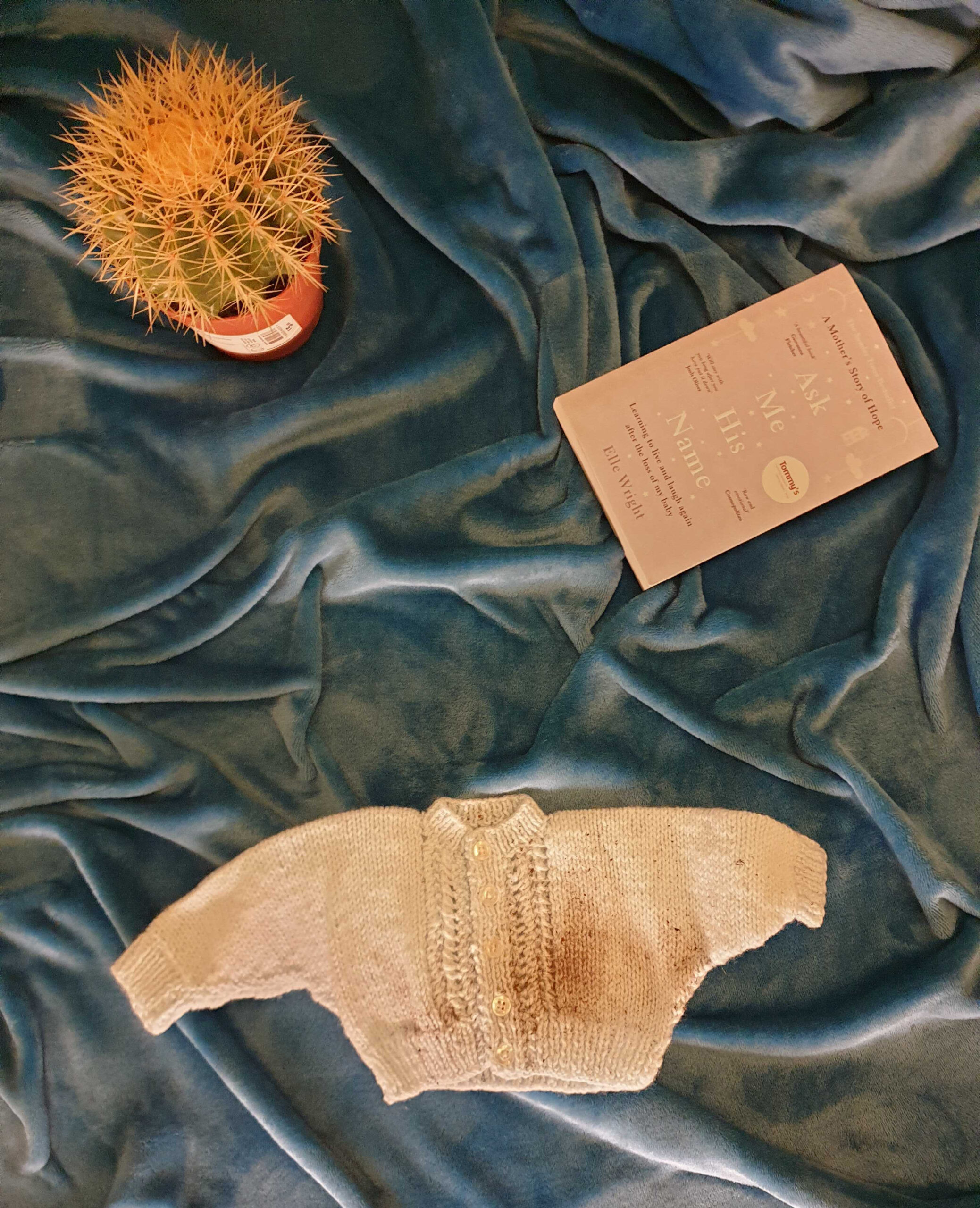 A book, cactus and baby's jumper on a turquise throw.